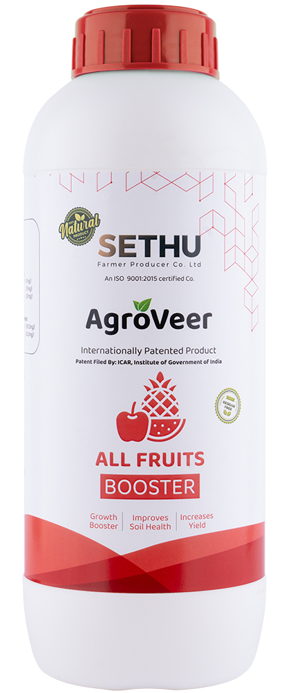 All Fruits Booster